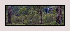 Ebor Falls Valle, Ebor, NSW