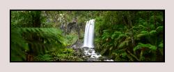Hopetoun Falls, Otways, Andrew Brown Australian Landscape Photography